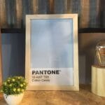 cotton candy pantone