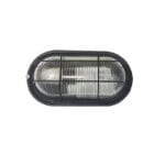 tortuga oval negra san justo